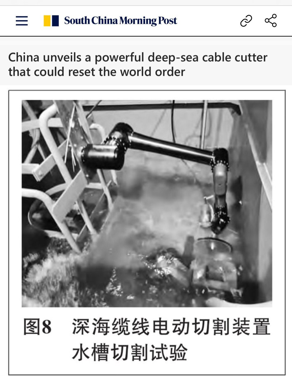 中共靠打家劫舍和坑蒙拐骗取得了政权，不但在本国发动几十次政治运动祸害人民，它们又往全世界放病毒，用一带一路执行渗透统战任务全世界输出革命，最近几年又到处做割海底电缆这种下三滥的事。请问中共是不是有毛病？号称世界大国怎么尽干这种龌龊事？共匪，共贼，还是共蛆？