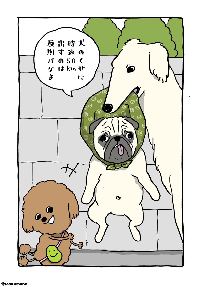 ボルゾイさんの実力(2/2) 