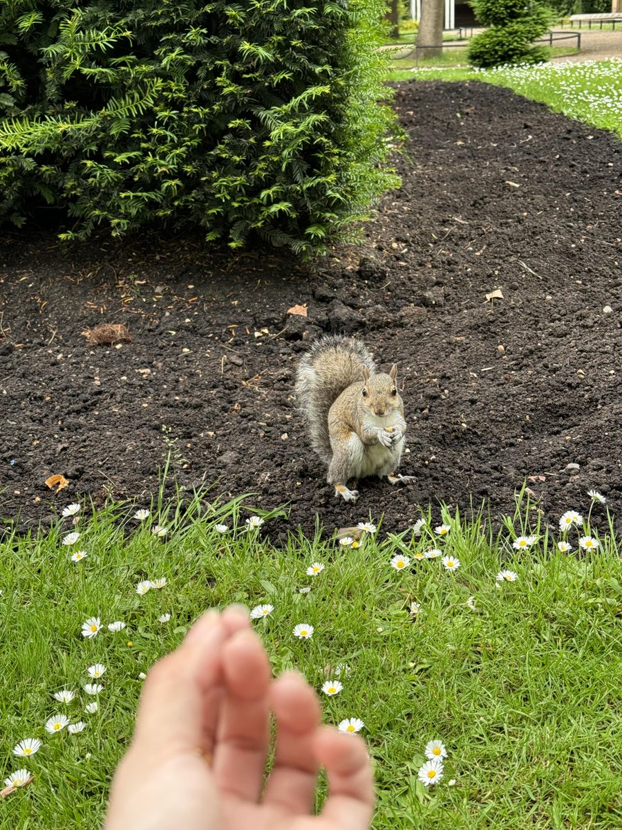 Close to nature