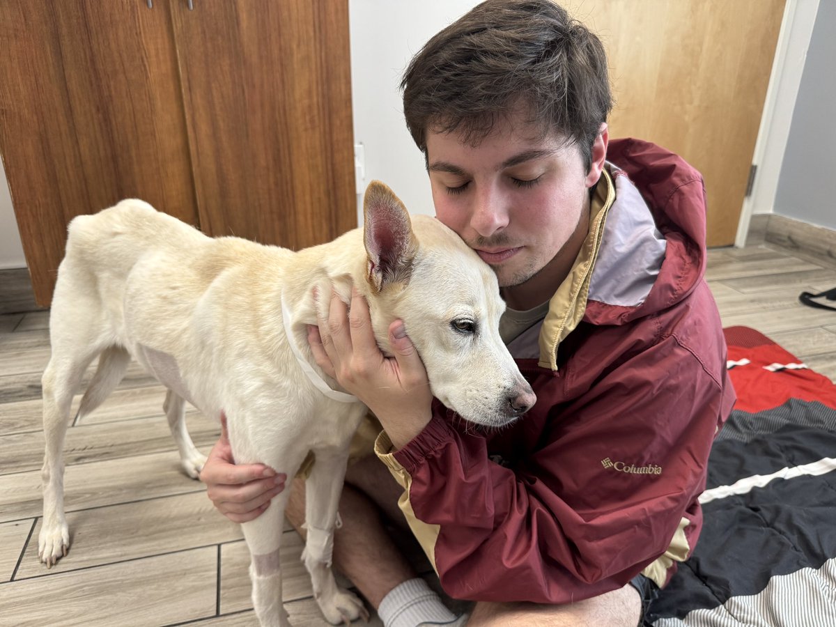 the day has finally come that I had to help my sweet boy peacefully cross the rainbow bridge

he came into my life 10 years ago when he was 3 months old

I gave him the best possible life, and I gave him all the love in the world 

we had endless cuddles, walks, trips to the