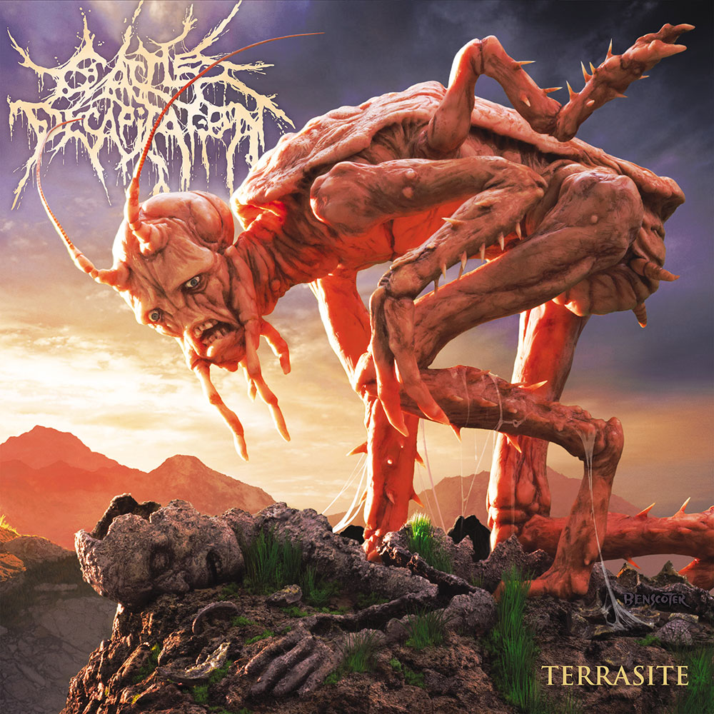 PapaCottonI's tweet photo. Been listening to this album a lot. Love this band. #CattleDecap https://t.co/41AF0AmP0h