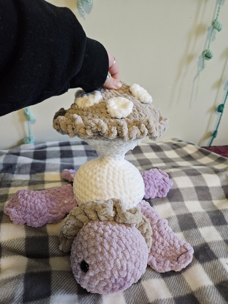 Hi friends! I officially started an account on here for my business! I'm still figuring out what crocheters usually post about on here haha

This is my first ever pattern I've created 💚 Poppy the Mushroom Pop-it Turtle! You can find it here: crystascrochet.etsy.com/listing/186647…