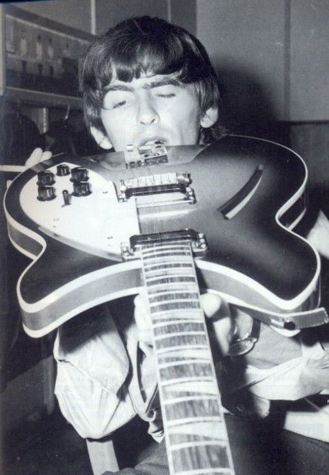 sweetlordgeorge's tweet photo. He's one in a million https://t.co/RA4SBjcA2L