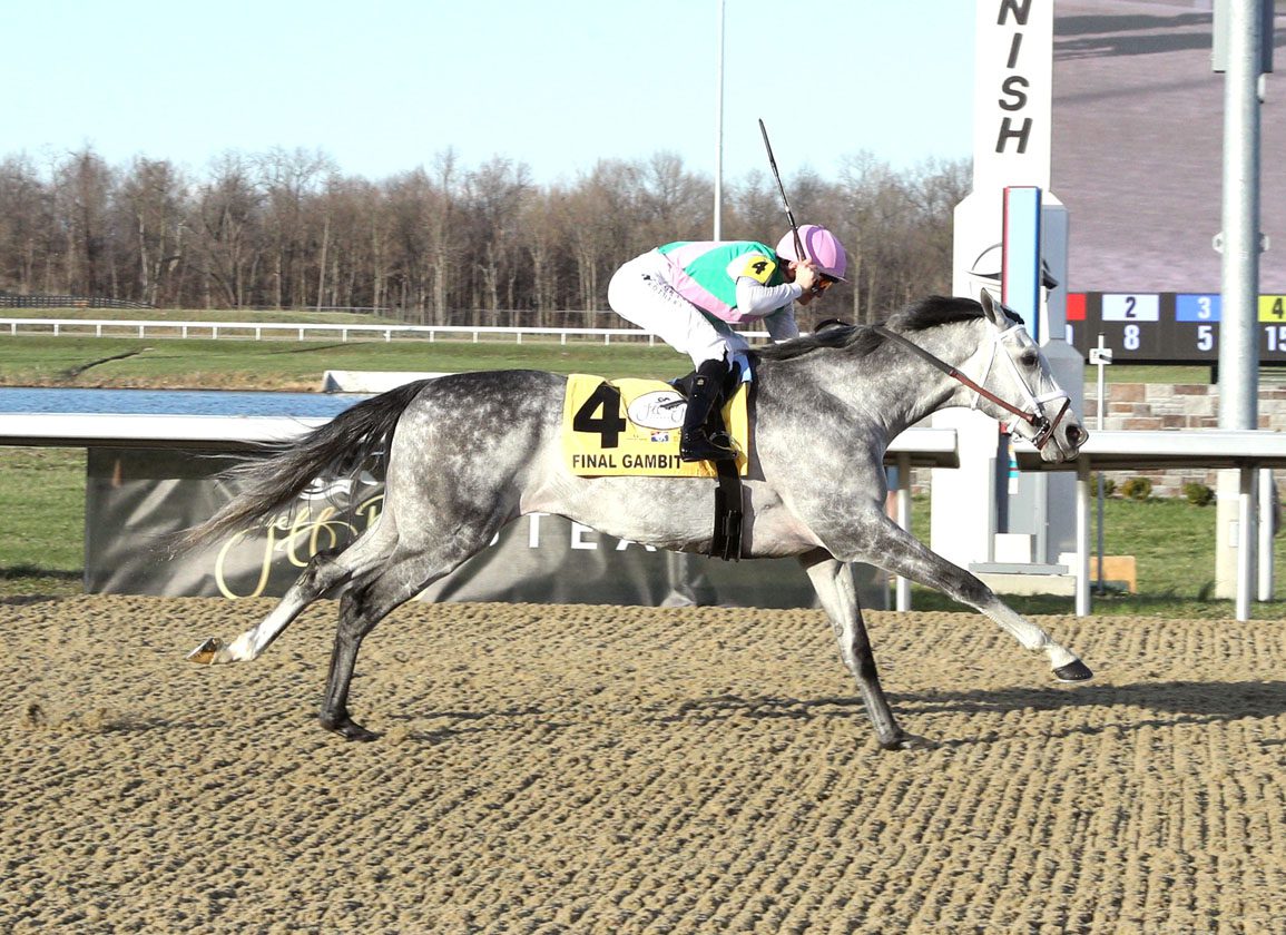 javierlauz's tweet image. #FinalGambit Que tal final de Final Gambit (Not This Time) en el Jeff Rubby Stakes (G3)!!. Suma puntos para la primera corona norteamericana. Pertenece a Juddmonte y es nieto de Tapit.
(Fotografía: Maddy Becker)