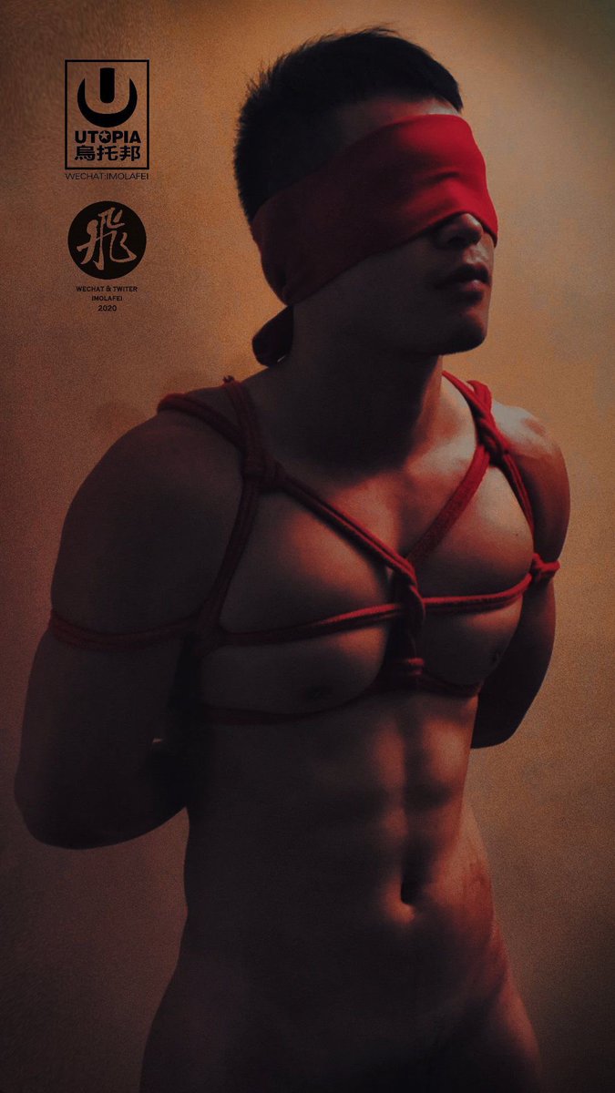 飛 (@imolafei) on Twitter photo 