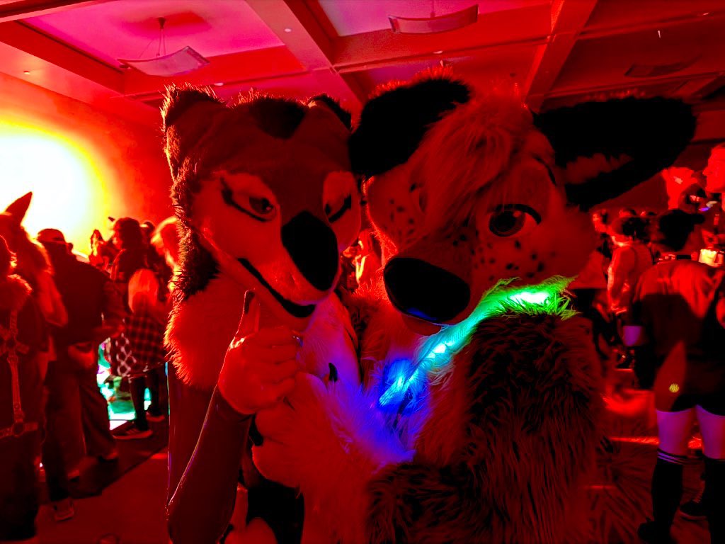 Met this shiny cutie at the rave, squeak approved !~ 

<a href="/MoodEBlueSergal/">🎶DJ Mood-E🎶 @ CanFurence? ;3</a>