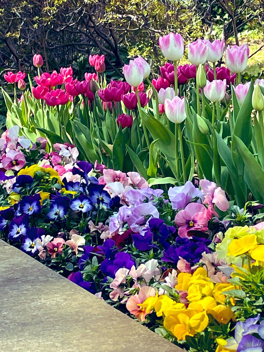 🍀ぽかぽか陽気に誘われて🌷