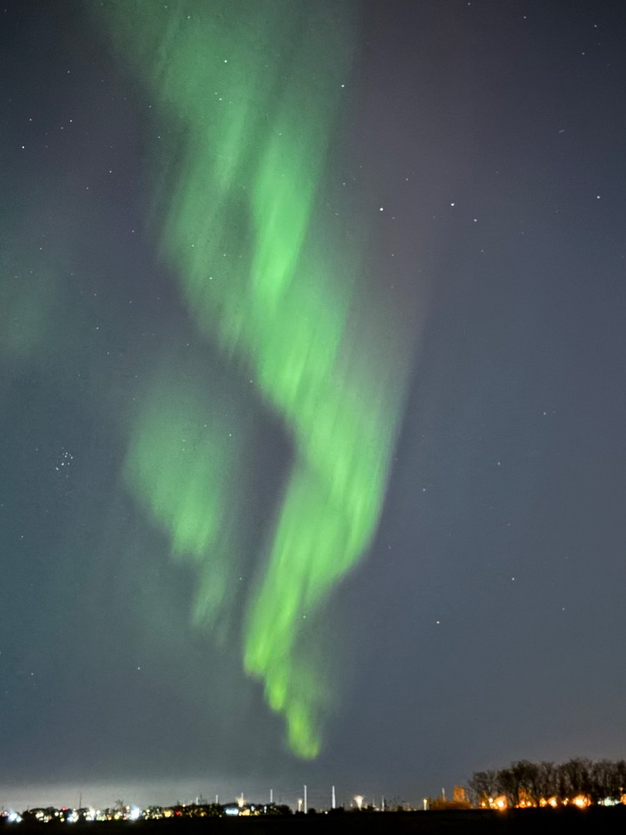 Tom Rocha tweet media