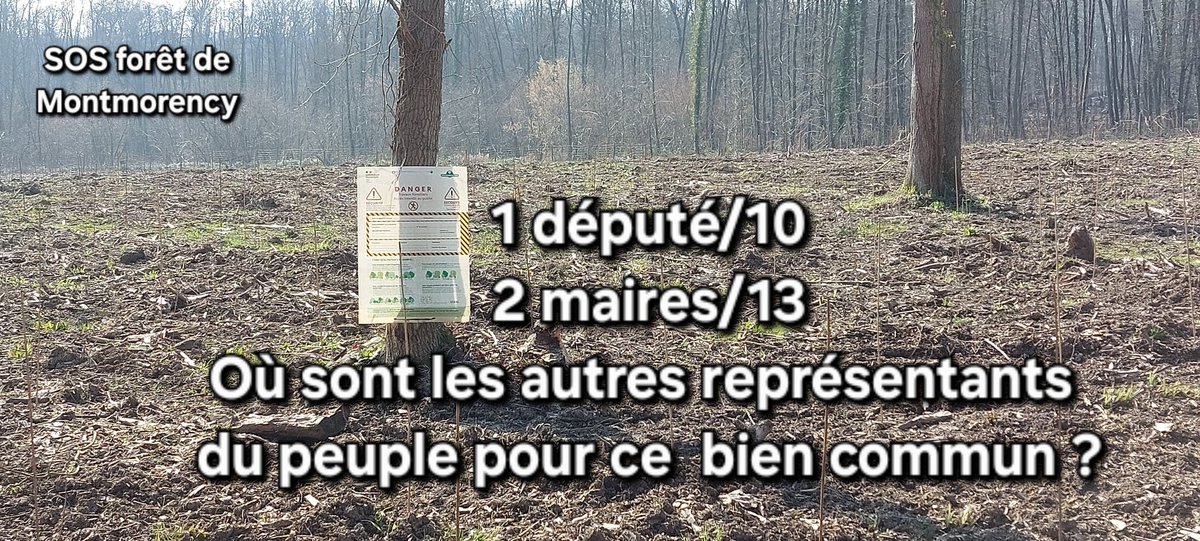 Présents pour notre forêt :
* Monsieur Emmanuel Maurel (député 3ème circonscription) <a href="/emmanuelmaurel/">Emmanuel Maurel</a>
* Madame Portelli (Madame la Maire de Taverny) <a href="/FloPortelli/">Florence Mosalini Portelli</a>
* Monsieur Poulet (Monsieur le Maire de Bessancourt)... <a href="/JcPoulet/">Jean-Christophe POULET</a>