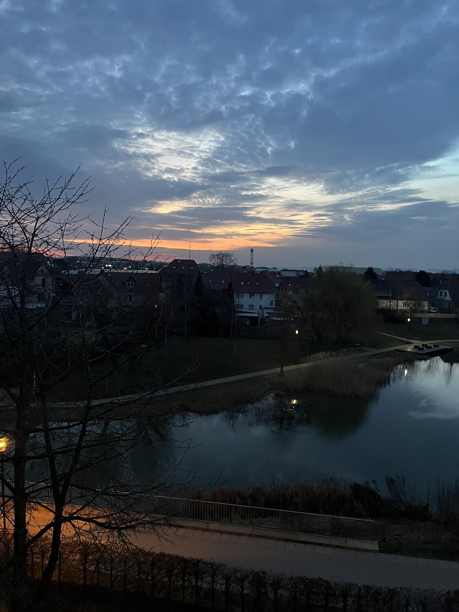 Habt den Sonntag schön 🌷🙋‍♂️