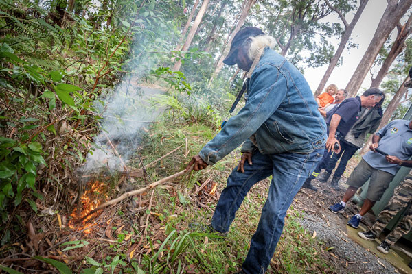 Indigenous Land and Sea Corporation (@indiglandsea) on Twitter photo NSW Aboriginal Land Councils are bringing 60,000 years of cultural burning wisdom to modern firefighting. Traditional practices meet contemporary techniques at Guulabaa training program. 🔥
Learn more 👉🏾 bit.ly/41DhKpW
📷: <a href="/VisitNSWForests/">Visit NSW Forests</a> NSW Aboriginal Land Councils are bringing 60,000 years of cultural burning wisdom to modern firefighting. Traditional practices meet contemporary techniques at Guulabaa training program. 🔥
Learn more 👉🏾 bit.ly/41DhKpW
📷: <a href="/VisitNSWForests/">Visit NSW Forests</a>