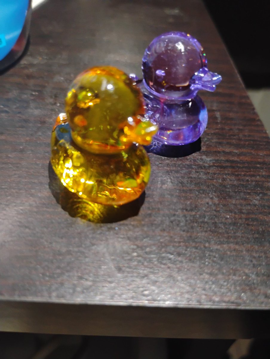 imgorber's tweet image. These duckies are so majestic