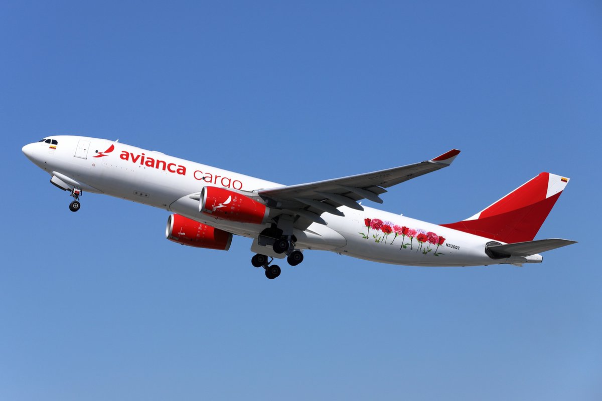 KMIA RWY27 28/Feb/2025
avianca cargo
N330QT Airbus A330-243F
ーーーーー
テール部分の塗装が省略されたパターンです
330と331はタンパカーゴからの移籍機で、23年まではオリジナルの塗装でした
50年の歴史を誇るタンパカーゴでしたがついに塗装は消滅し、コールサインが残るのみとなりました