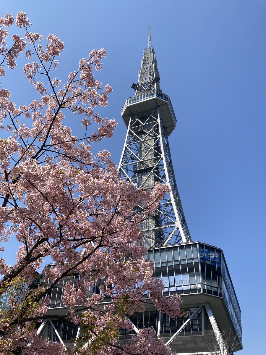 ugachanblog's tweet image. こんにちは
週末天気に恵まれ暖かく
過ごしやすい陽気😊
寒暖差が大きい時期なので
お身体に気をつけてお過ごしください🍀✨
栄 無印良品週間に行って
普段使いのものを少しまとめ買い
10%OFFは有難いですね(今月末まで)
テレビ塔周りを散策
こちらも桜が綺麗でした🌸
帰って簿記勉やります😆