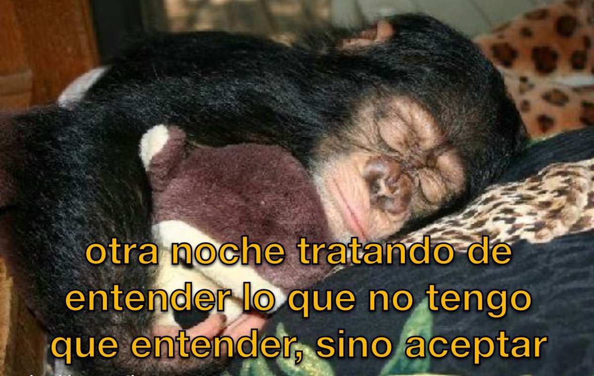 triste y con ganas de morirme ☹︎ (@cxrrly) on Twitter photo 