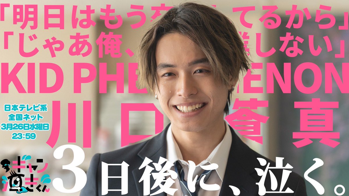 ネコになりたい。【公式】 tweet media