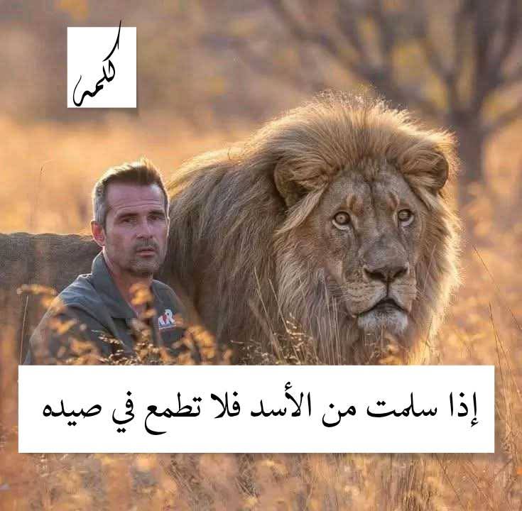 Haneennabeel10's tweet photo. https://t.co/KDt5MhM9UX