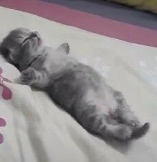 xandra515's tweet photo. me rn after the pain of lax is finally over https://t.co/0c79EnCKct