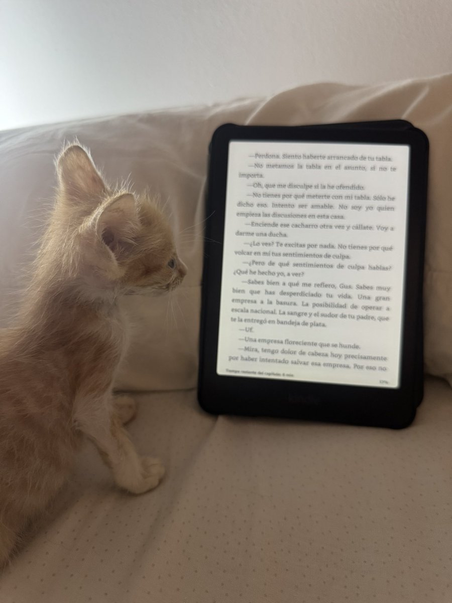 <a href="/pachunomas/">Dra. pachu!💚 ⭐️⭐️⭐️</a> Yo iba a ir a ver a damas gratis 
Pero tengo el corazón retorcido por el gato nos quedamos leyendo en la cama y haciendo mimos