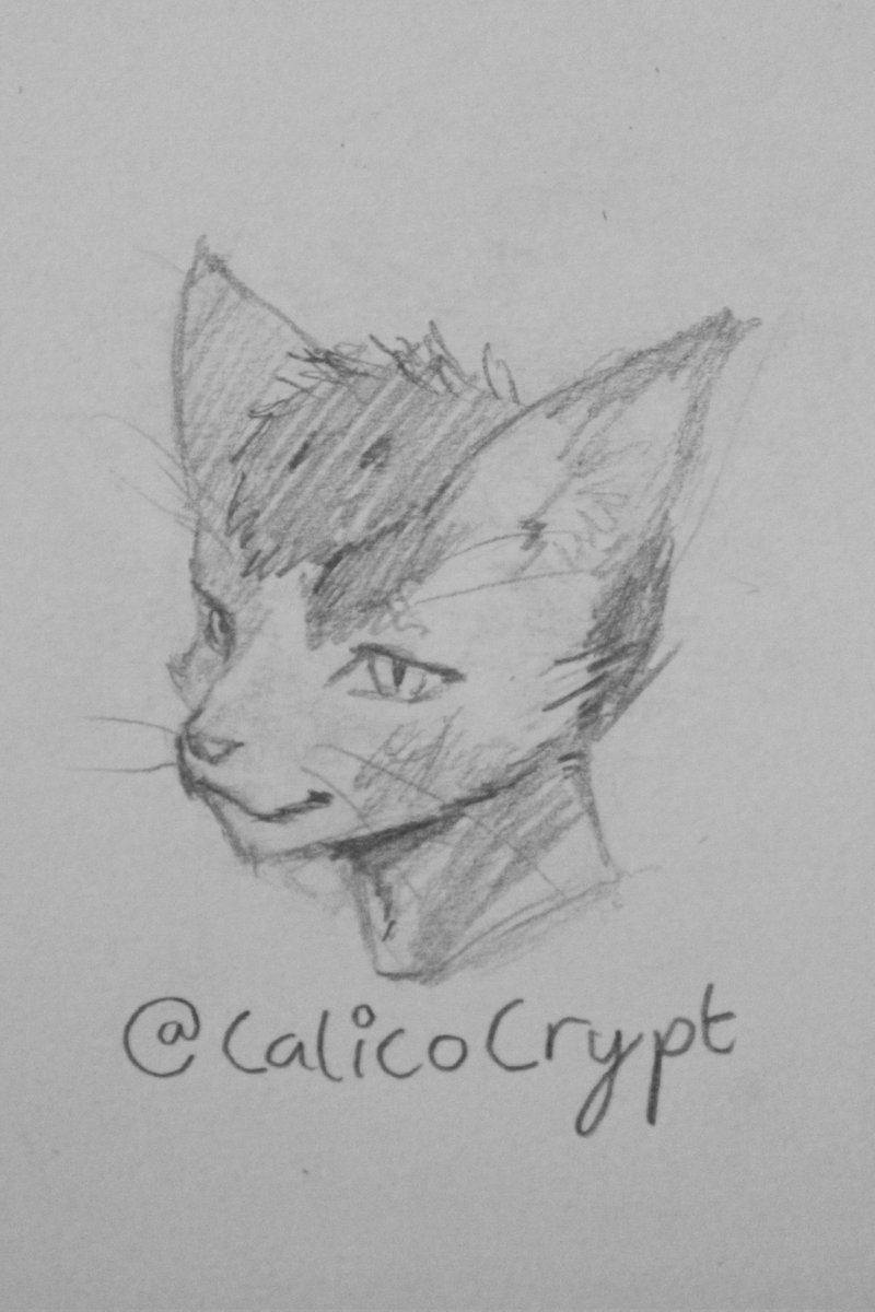 CalicoCrypt's tweet image. Thank you slime_rat for drawing me fanart of Calico as a furry, which for the record I am not (cope) #art #fanart #furryartwork 

Check out their art here ⬇️
bsky.app/profile/slime0…