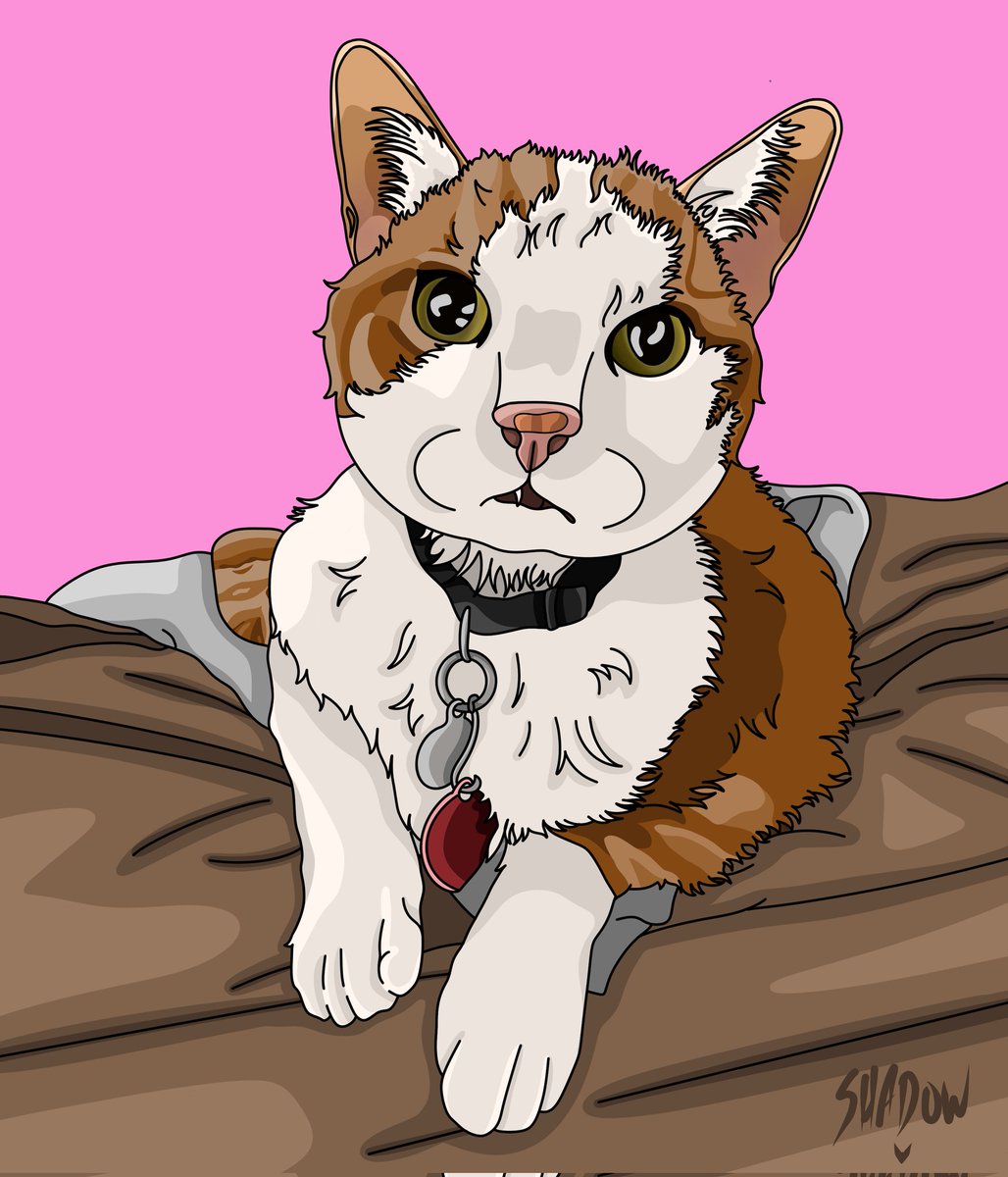 LoveShadowTTV's tweet photo. Mormor ❤️😺🪽
Memorial/semi realistic commission for Alice Faith McIntyre 

Memorials/semi realistics are not posted on my redbubble. 

To order commissions please check pinned!

#memorial #digitalart #procreate #semirealistic #commission #kitty #cat #artist https://t.co/gWRLIQnAab