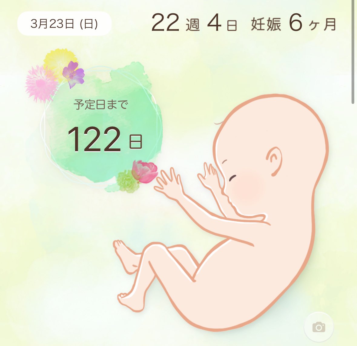Natsu72FC's tweet photo. 第二子妊娠中🤰 https://t.co/lvKVNsXTPH