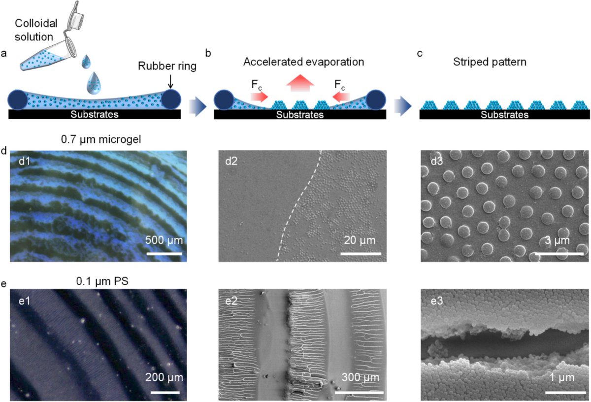 harati_javad's tweet image. Accelerated evaporation-induced confined-area assembly for various str... sciencedirect.com/science/articl…