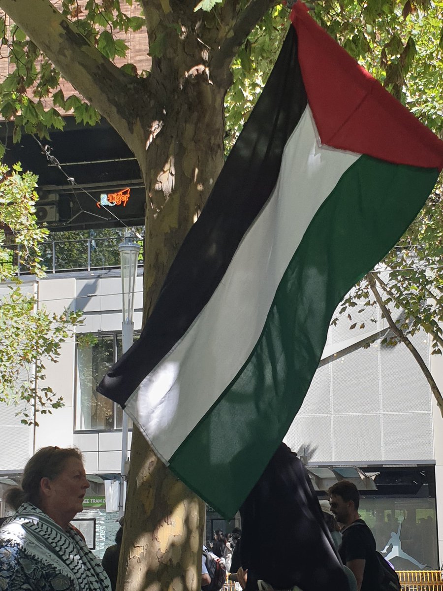 carolmdcruz's tweet image. Don't give up. We will not stop, we will not rest. #FreePalestine
