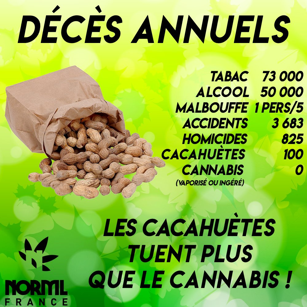 👨‍🌾🌱Weed2Lux⚕️🌿 tweet media