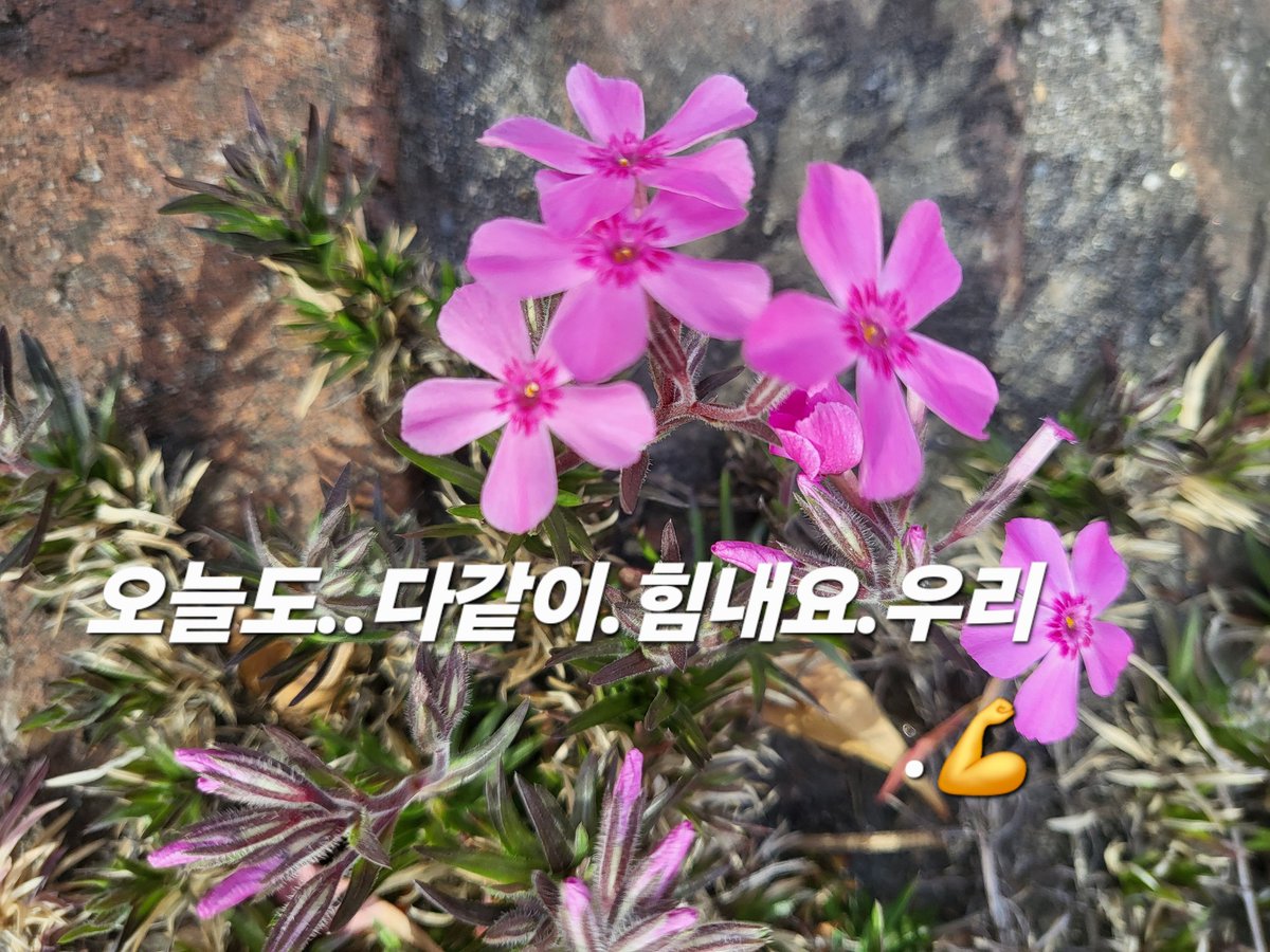 윤여진 (@yoonyj11) on Twitter photo 