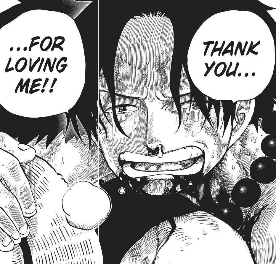 One Piece Daily (@opdaiiy) on Twitter photo 