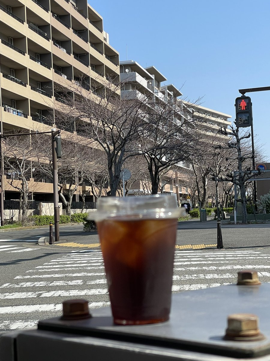 pluscoffee1's tweet photo. 桜の開花はまだですね

横須賀Plus Coffee Roasterは本日18:00まで営業中です！ https://t.co/q1T2rRvX1Z