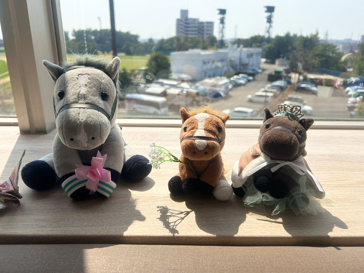 きるしぇ🥕 (@Kirsche0216) / Posts / X