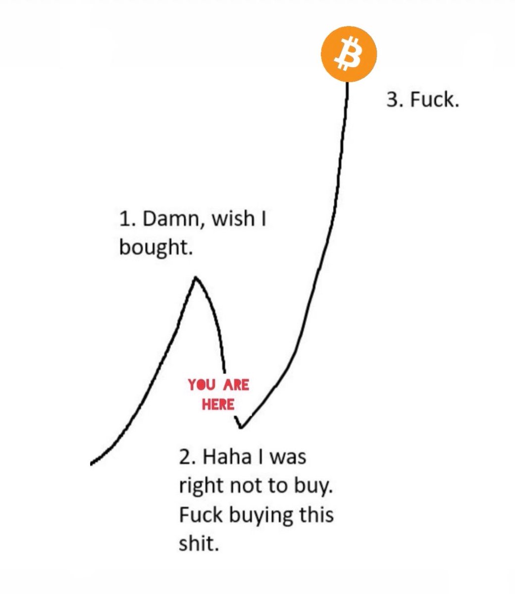 TheBTCTherapist's tweet photo. Part 3: $444,000 https://t.co/Kqhiw8Uq78