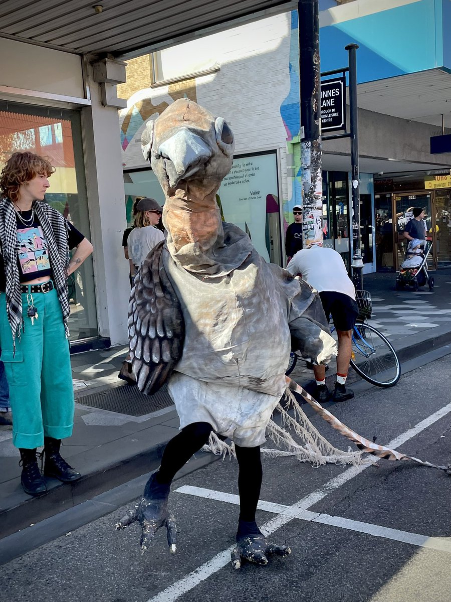 Boheme01's tweet image. #marchforforests #bobbrownfoundation  #stopnativeforestlogging #voteforforests #saveourwildlife