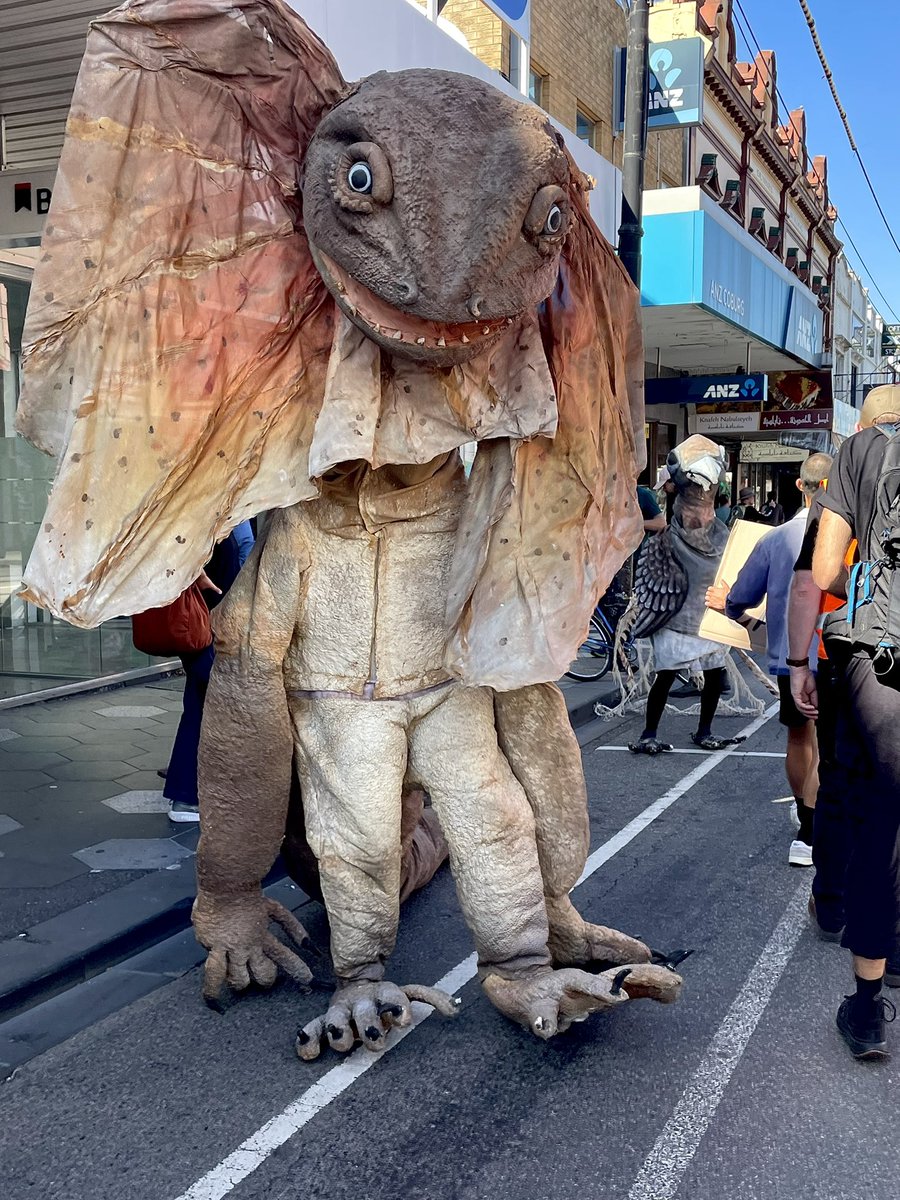 Boheme01's tweet image. #marchforforests #bobbrownfoundation  #stopnativeforestlogging #voteforforests #saveourwildlife