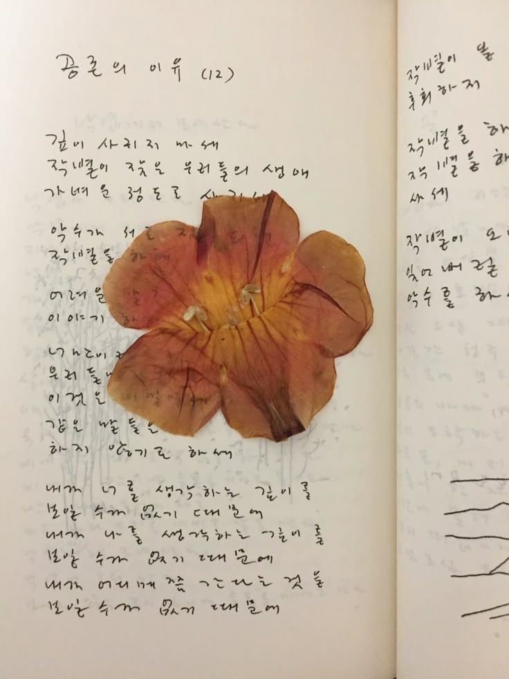 autumn girl tweet media