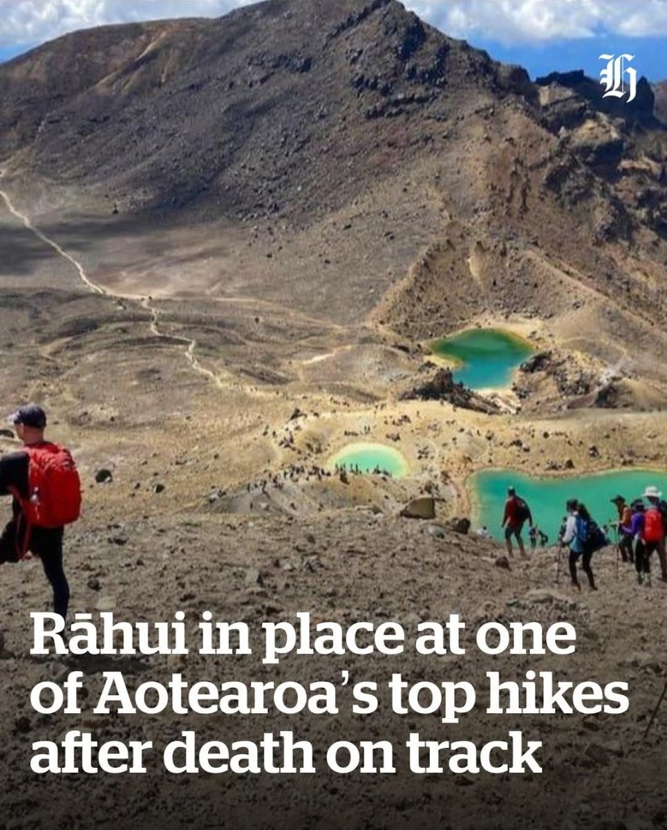 The New Zealand Rocketeer tweet media