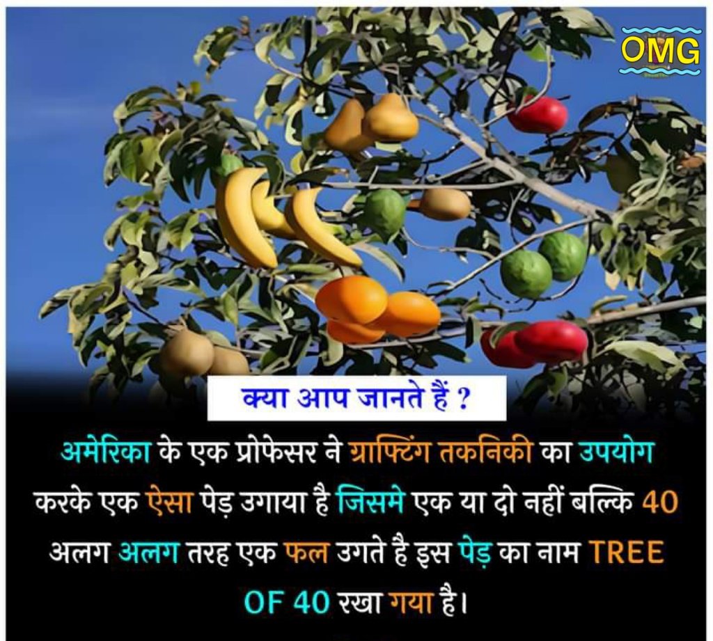 MMozammil07's tweet photo. #क्या_आप_जानते_हैं? https://t.co/brjb2bDXc0
