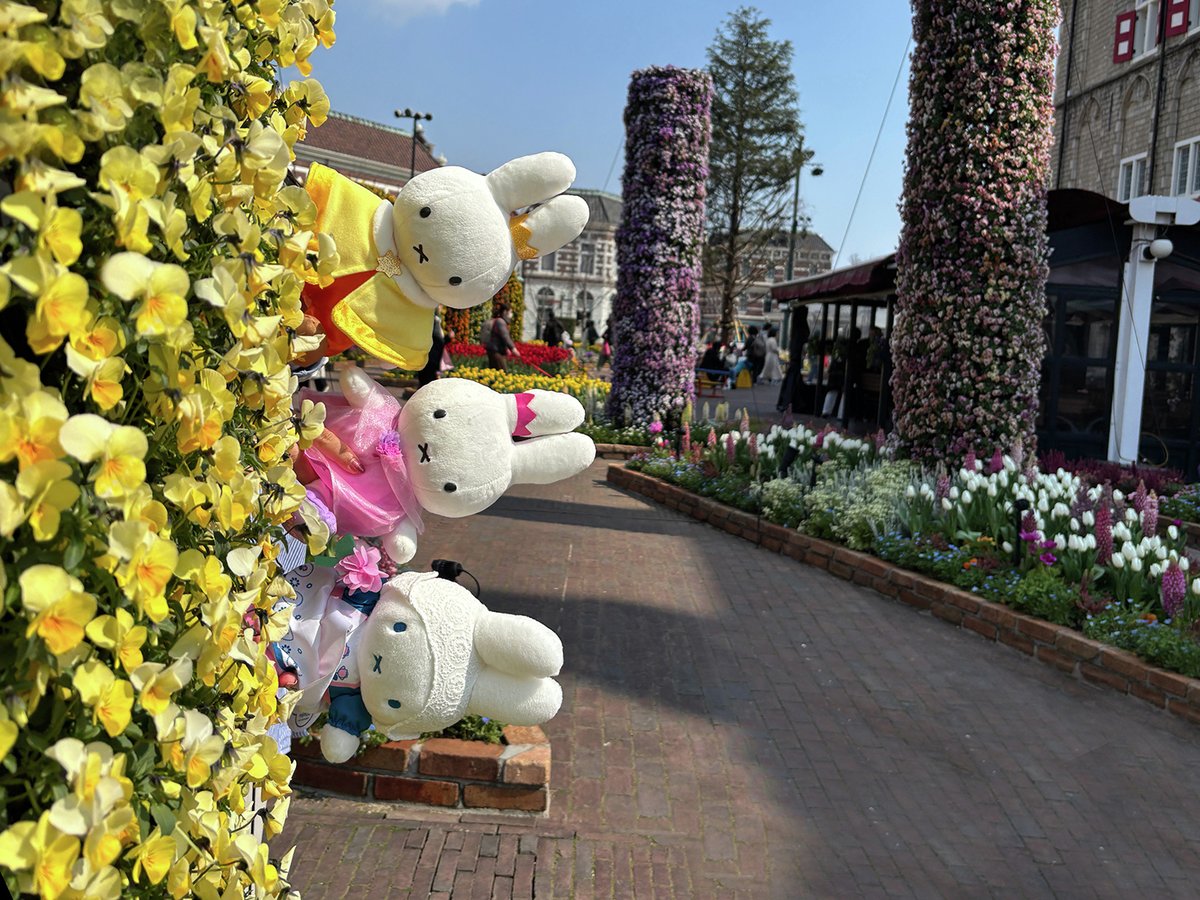 ハウステンボス公式 on X