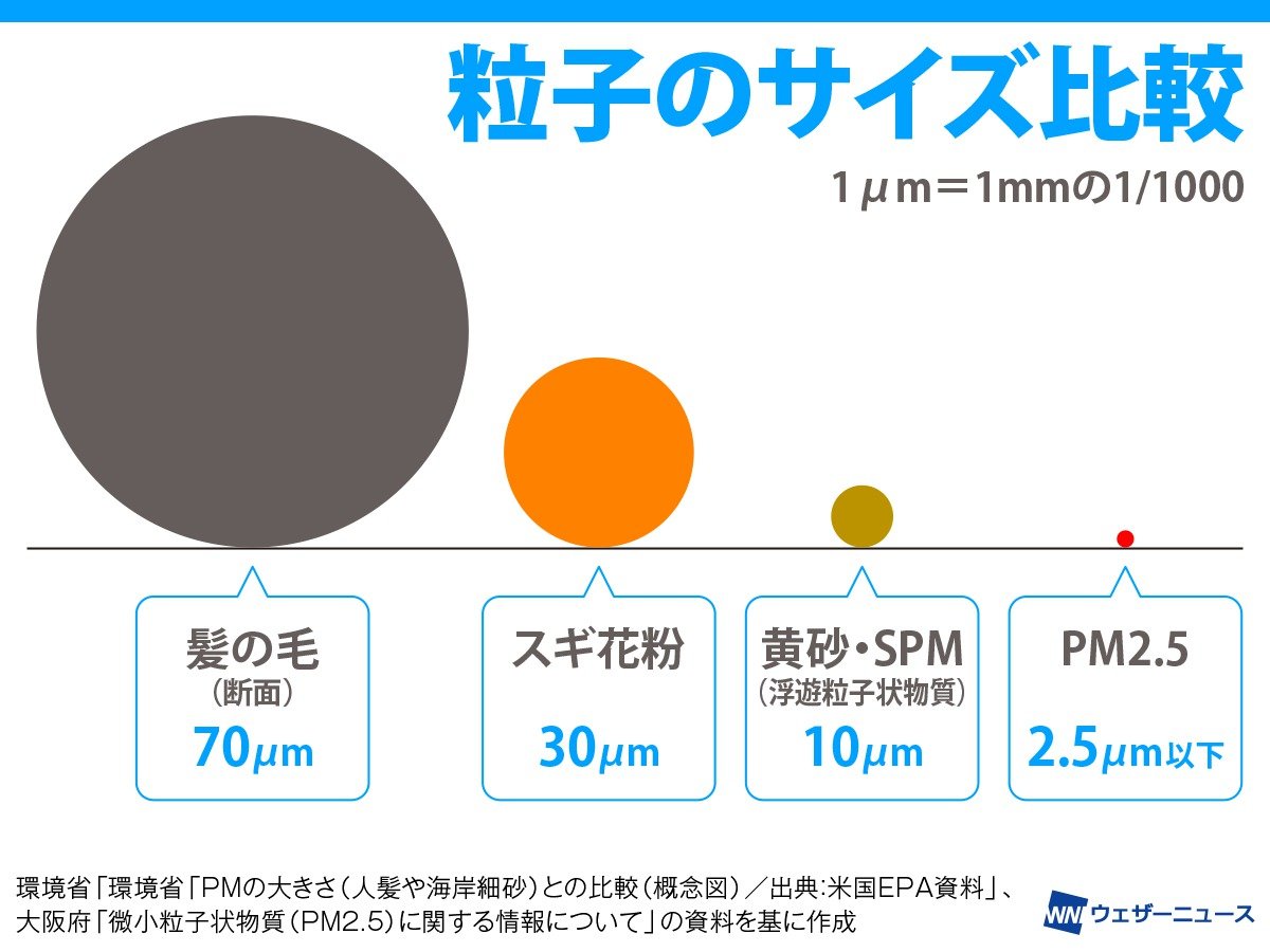 wni_jp's tweet photo. 黄砂も影響？「花粉爆発」とは
花粉の粒子は黄砂などの影響で爆発・破裂することがあるそう。爆発によって微細化すると、通常は鼻の粘膜までしか届かない花粉が気管支や肺にまで入り込み、喘息を引き起こす原因となるとのこと。メカニズムや対策について紹介します。
https://t.co/tJ1aTTeE2w https://t.co/0pv665Igkp