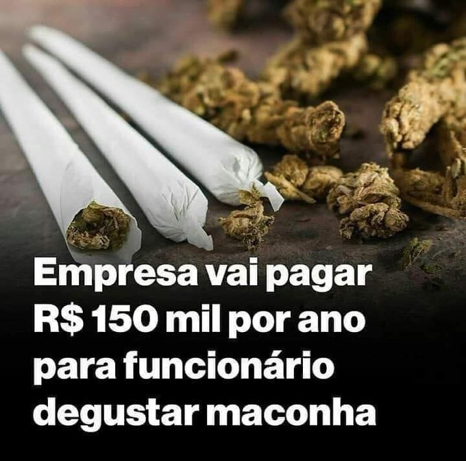 SPACECANNABIS's tweet photo. o emprego que eu quero https://t.co/srctGW8b5F