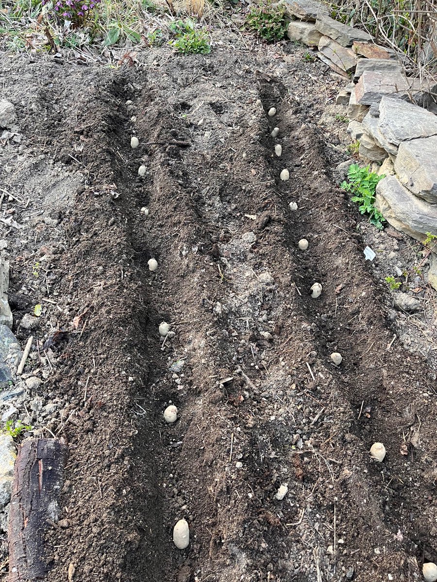 jürg christandl tweet media