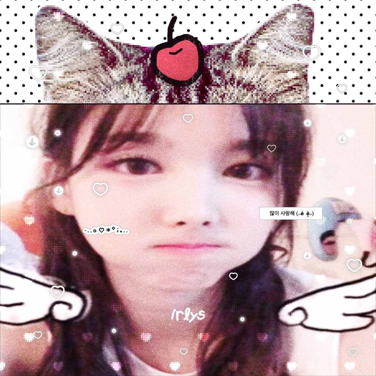 ₍^ >ヮ<^₎ : เหมียว ๆๆ 
♡ 24 hours ♡ kindly dm 
⠀#ซ้ำไหมถามใจเธอดู