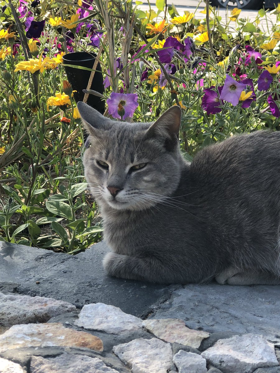 توثيق لروتين الهروب من المطبخ إلى الشاطىء القريب ، والاستمتاع بلحظات الغروب تحت بند (لاحقين ..اهم شي الوناسة)

مرحباً X ✋🏻