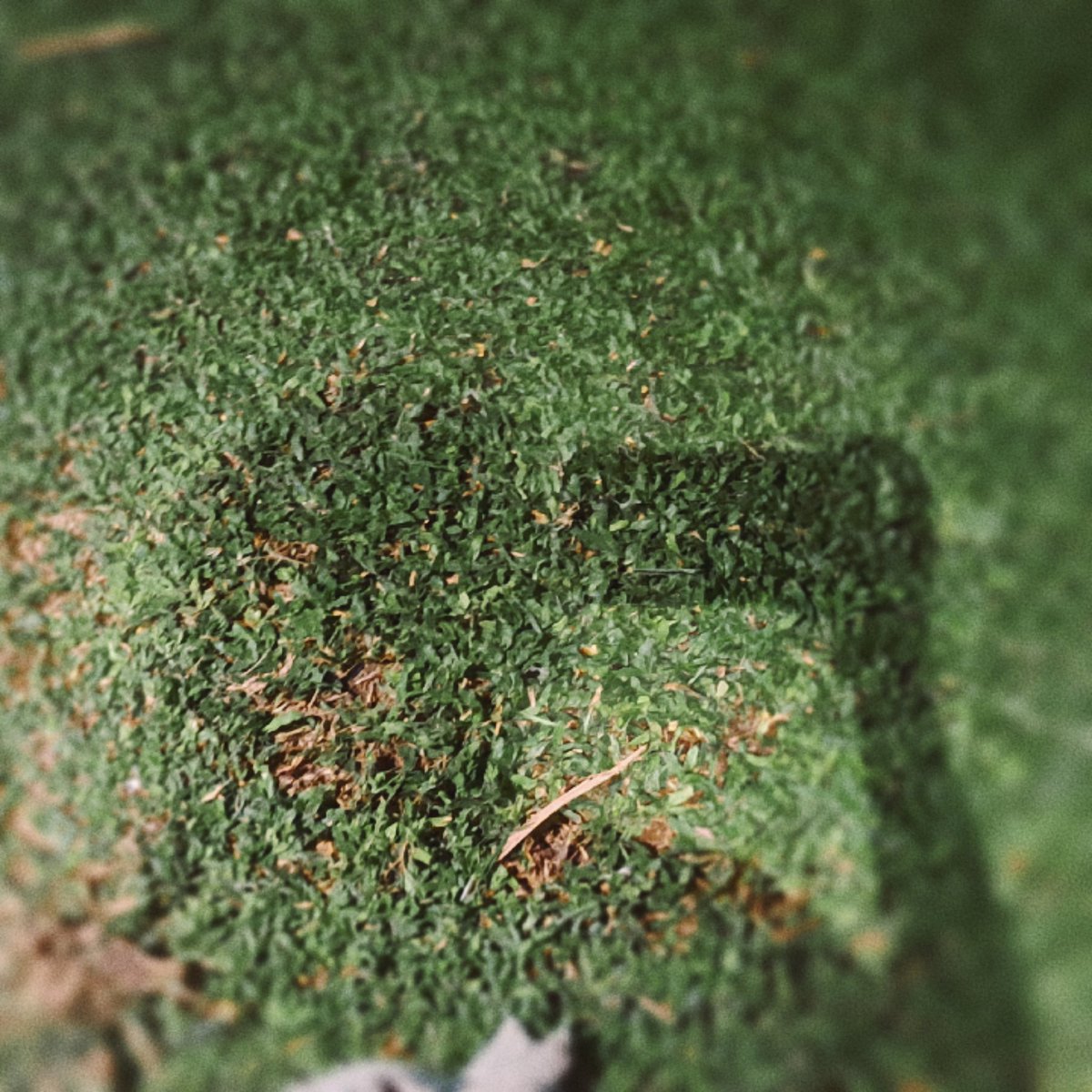 babygummyx's tweet image. hi chat *•°☆ #moothunt
— 22, any prns, faceless
dni: minors shedtwt

☆ #digitaldiary, cats, games, collecting, journalling, music, art, crochet, blocks

♡ dropout, watcher, inikki, bts, plave, webtoons +more

♡ /↺ to be moots~

[#promotwt #nikkitwt #archivetwt #manhwatwt]