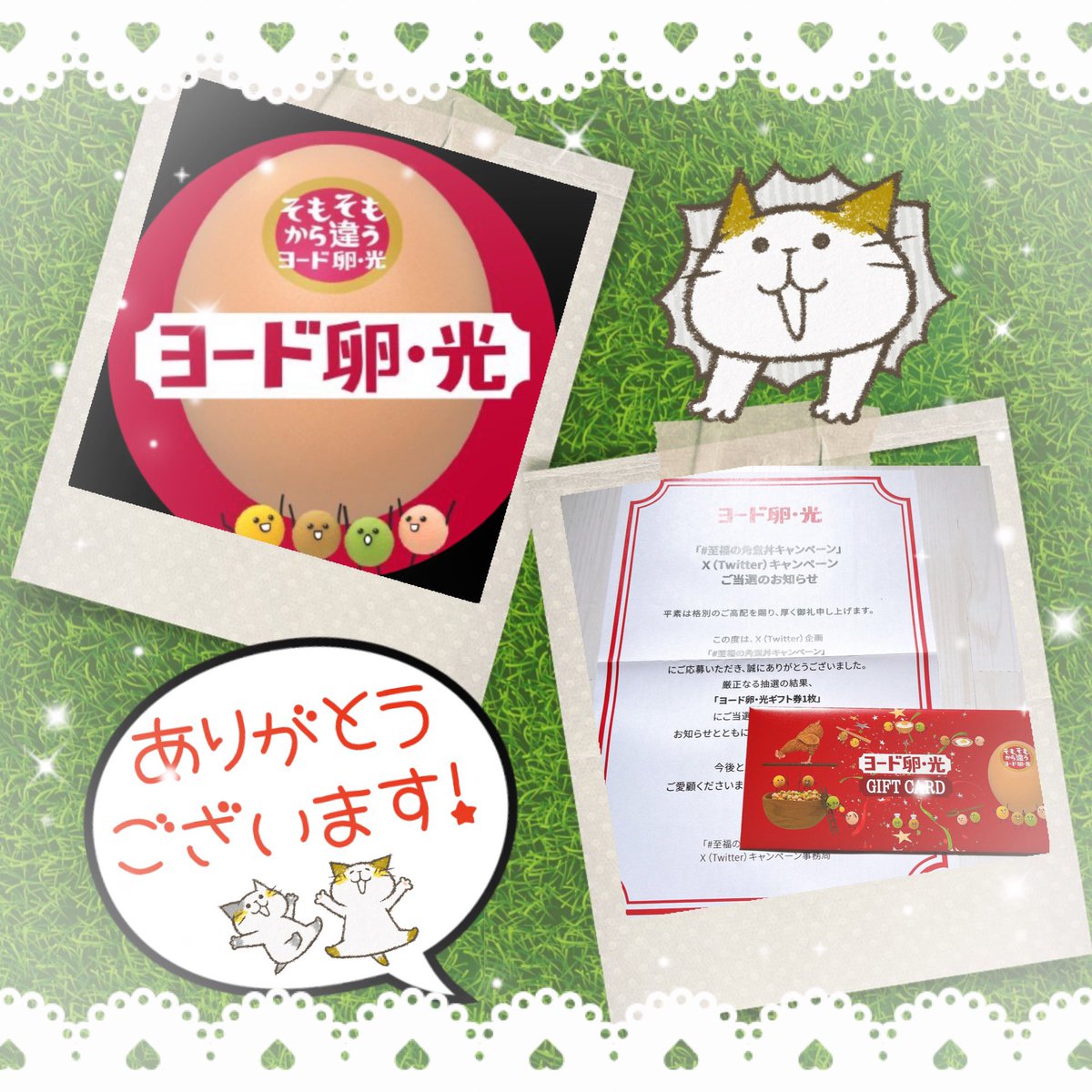 ヨード卵・光　しあわせ気分プレゼントキャンペーン品 ヨード卵・光 発売40周年キャンペーンが8月16日（火）から