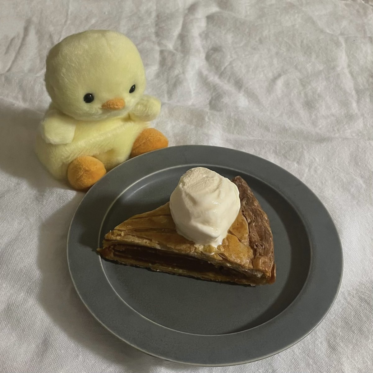 KasteraHighway's tweet photo. ぬいぐるみが食べ物をじっと見てる写真が好き https://t.co/vUVlliQJV7