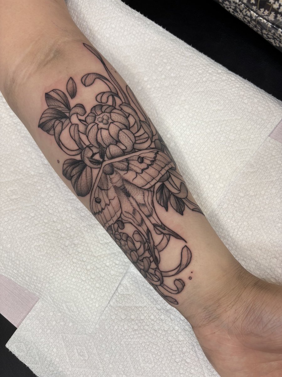 chloe gaming 🦋🐟 tweet media