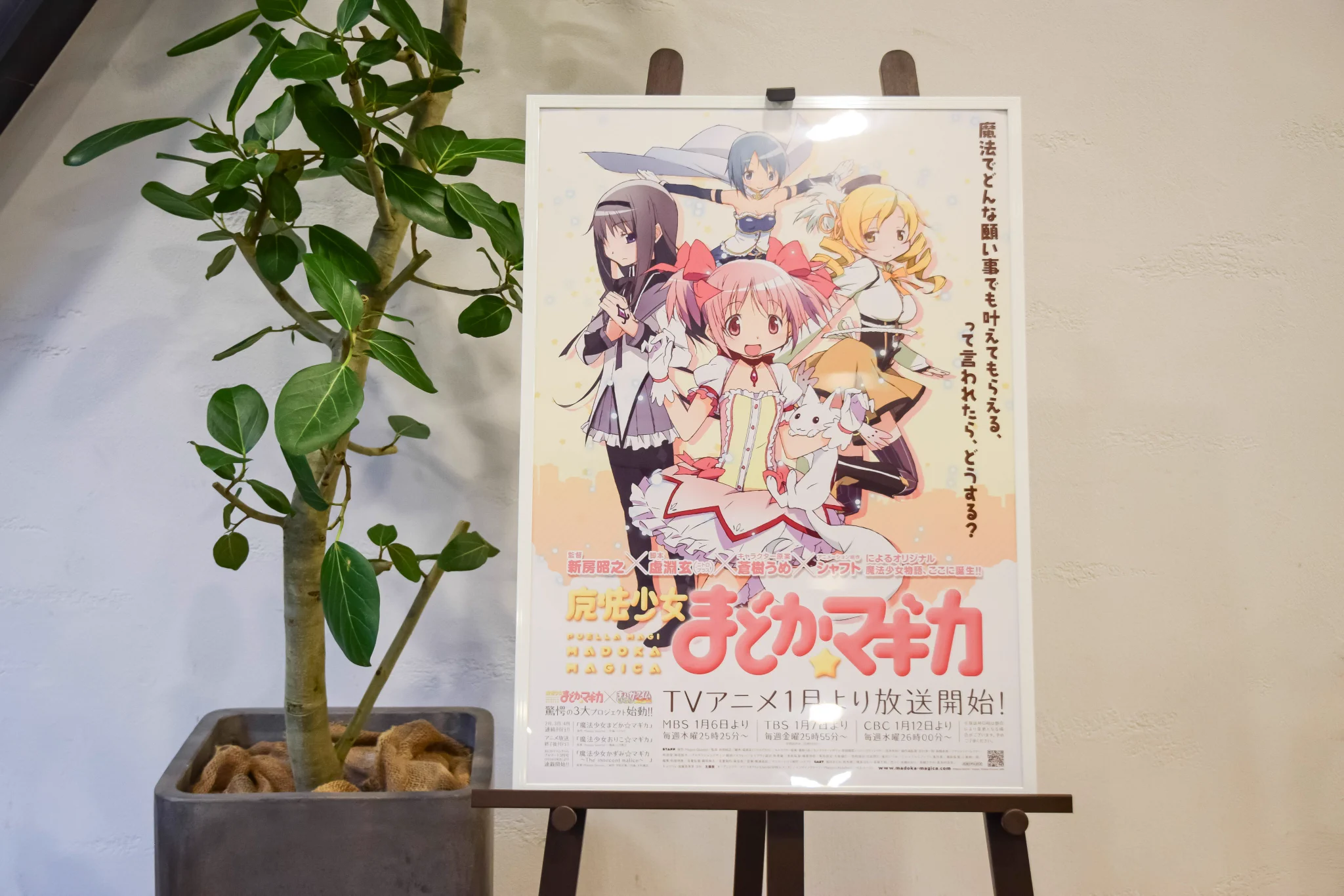魔法少女まどか☆マギカ on X: 